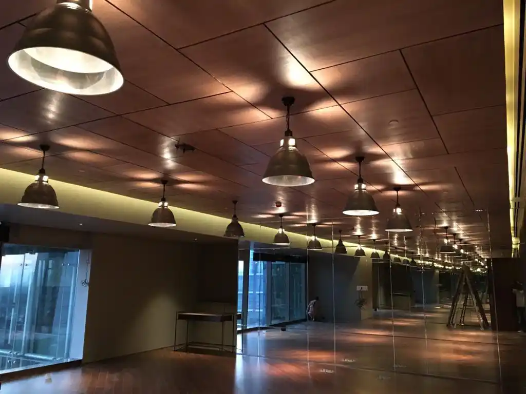 Indus Club — image 5